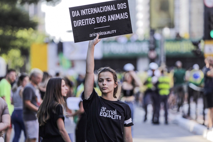 Maior marcha do Brasil em defesa dos animais acontece neste domingo