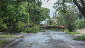 Moradores de Campo Mourão, na Região Centro-Oeste do Paraná, acordaram neste domingo (02), de Finados