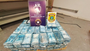 PF e Receita Federal apreendem 1,2 tonelada de cocaína no Aeroporto de Confins