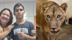 Gerson foi atendido pela conselheira Verônica desde os 10 anos Foto: Reprodução/@paulogermano.com.br/Instagram