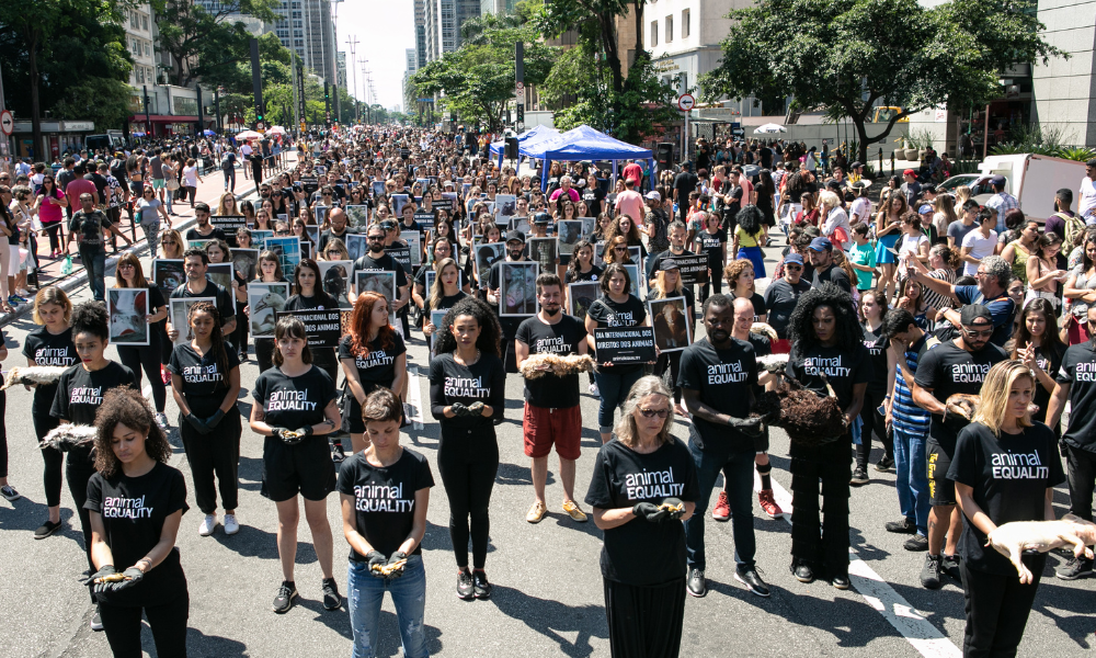 Maior marcha do Brasil em defesa dos animais acontece neste domingo