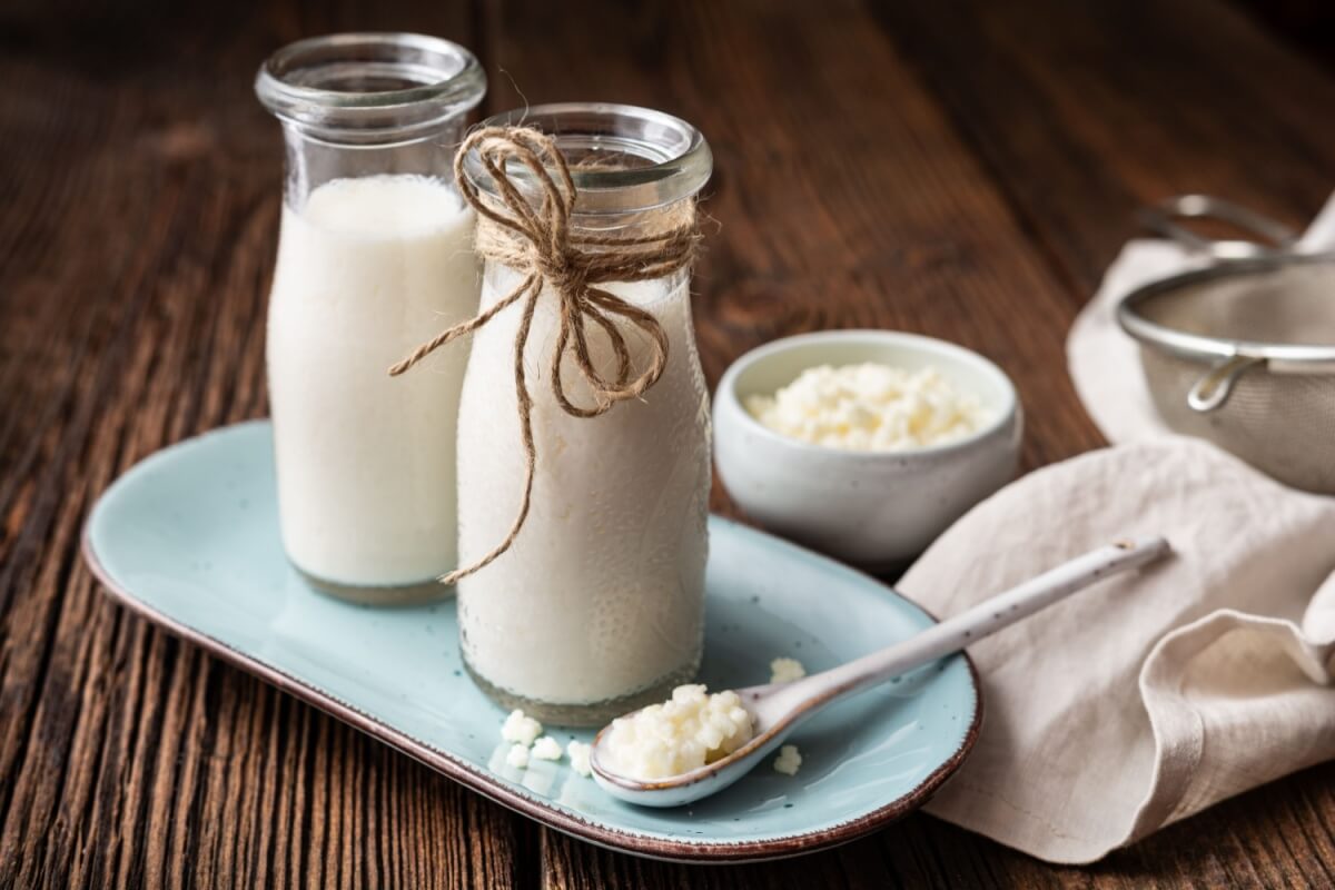 O consumo regular de kefir favorece a saúde 