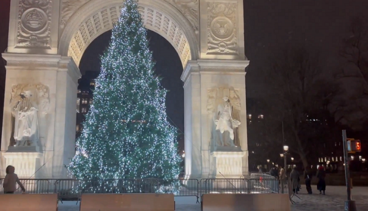 Tempestade de neve cai na cidade de Nova York, nos Estados Unidos