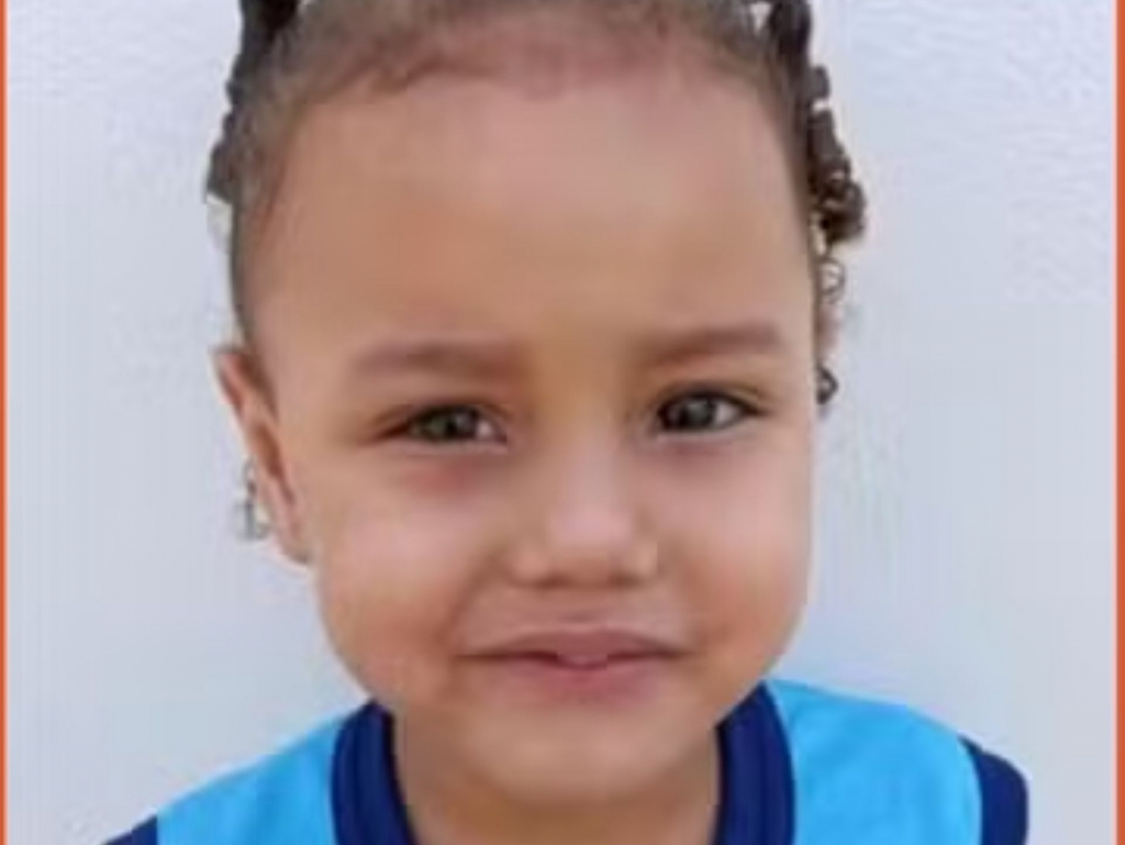 Menina autista de 4 anos é encontrada viva em Minas Gerais