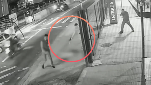 Cachorro comunitário é morto com dez tiros na zona leste de SP