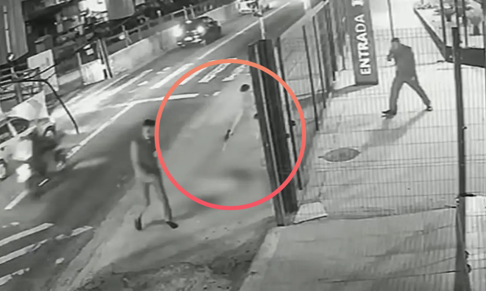 30/01/2026 - cachorro comunitário morre após ser baleado com cerca de 10 tiros em avenida da Zona Leste de SP. Foto: Câmera de segurança