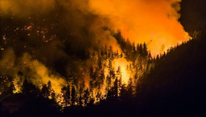 patagonia argentina em chamas