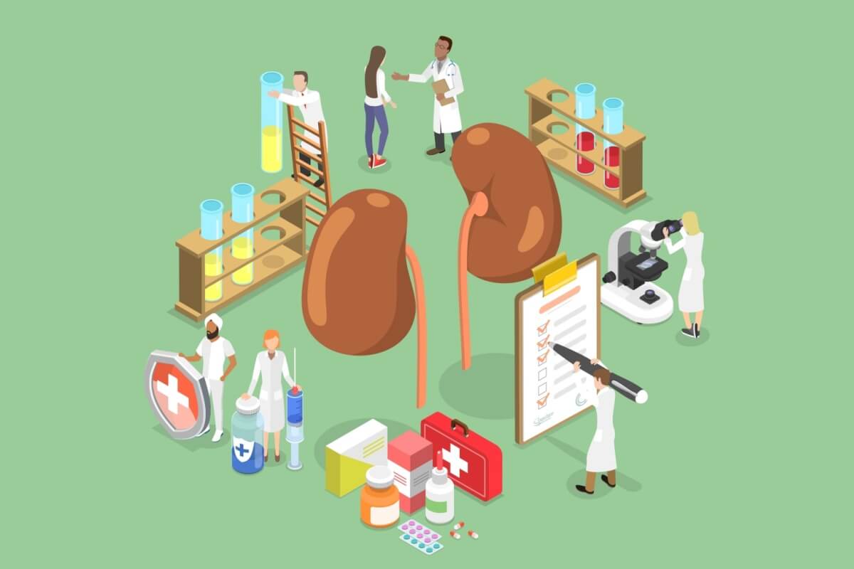 O carcinoma renal de células claras é a forma mais comum de câncer nos rins 