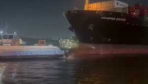 Navio atinge balsas no Porto de Santos e tripulantes pulam no mar