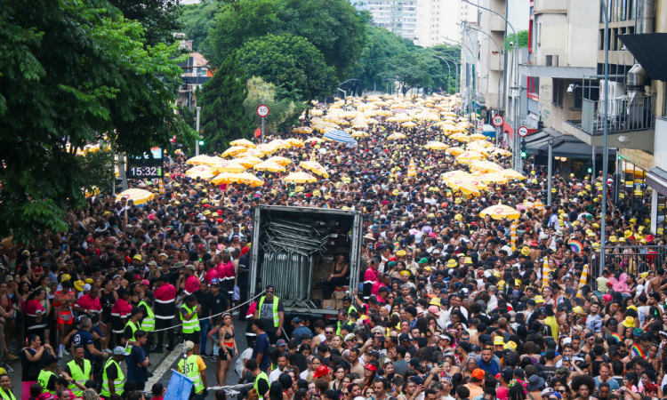 Foliões acompanham o desfile do bloco Acadêmicos do Baixo Augusta, na Rua da Consolação