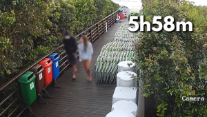 Boné rosa, moletom e câmeras: como a polícia concluiu a investigação do caso Orelha