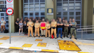 Com estes casos, chega a 18 o número de criminosos presos por agentes disfarçados entre os foliões. Foto: Governo de São Paulo/Divulgação