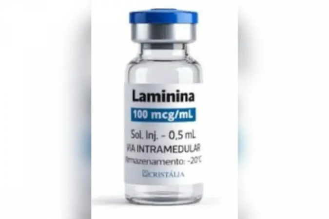 Polilaminina, molécula desenvolvida por pesquisadores da UFRJ para tratar lesões medulares