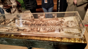 restos de são francisco de assis