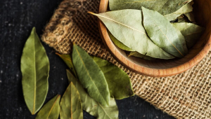 3 simpatias para ter mais sorte em abril