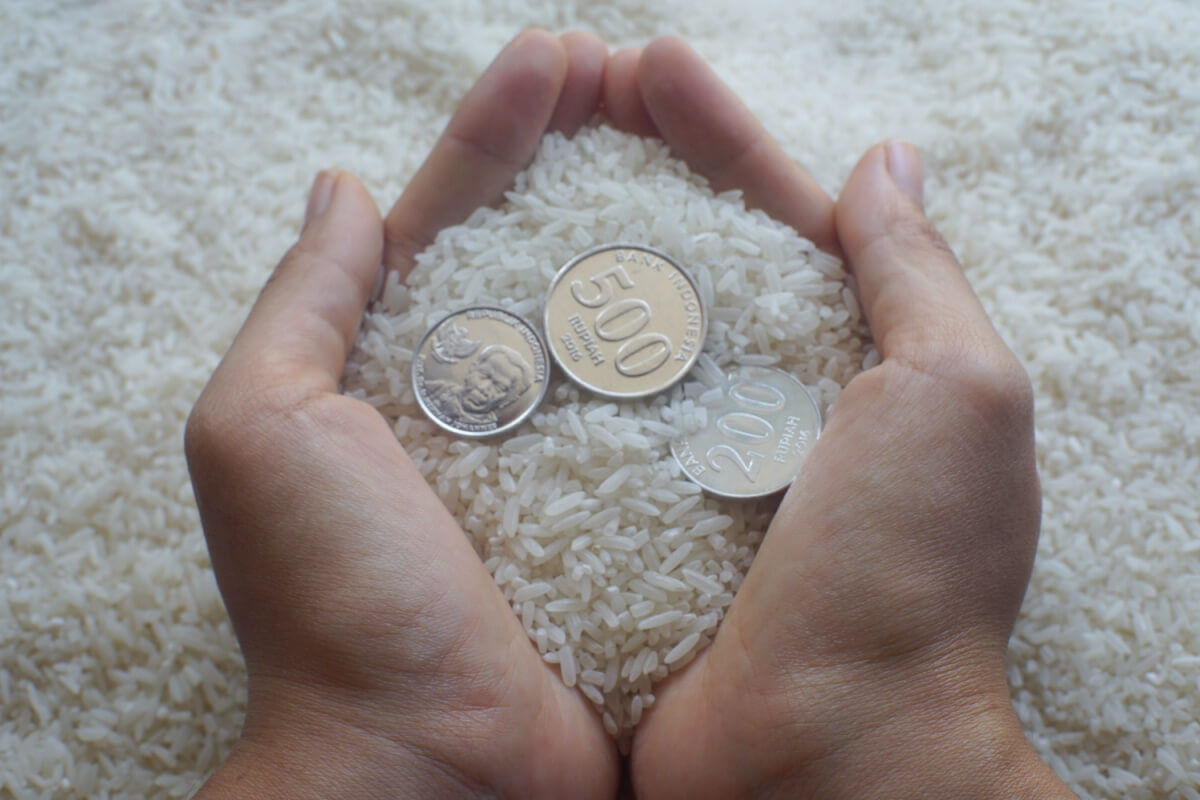 Rituais simples ajudam a atrair prosperidade e renovar energias ligadas ao dinheiro 