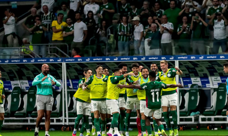 Com gols de Arias e Allan, Palmeiras vence Botafogo por 2 a 1