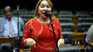 Deputada Gorete Pereira