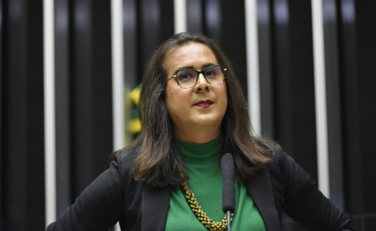 Deputada federal Duda Salabert