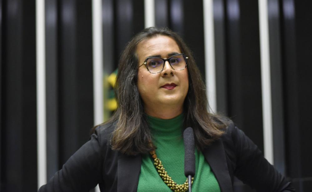 Deputada federal Duda Salabert