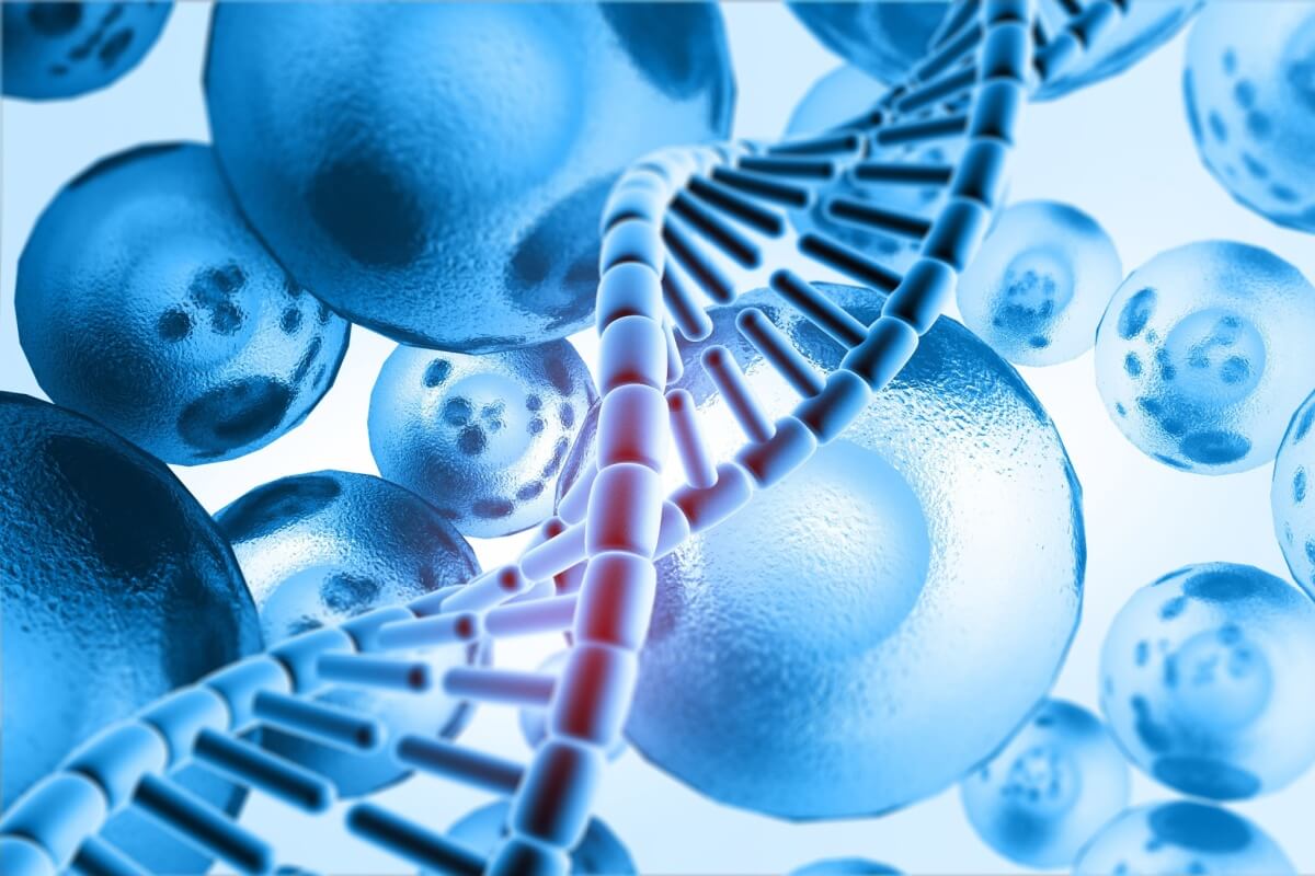 Mercado em alta: medicina regenerativa como protetora da vida ativa e longeva