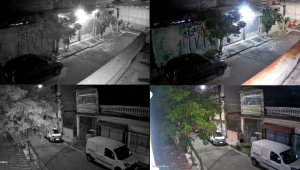 Vídeo mostra momento em que homem envenena cachorro em São Paulo