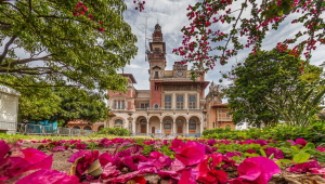 Melhores museus interativos em São Paulo e Rio de Janeiro para ir com crianças
