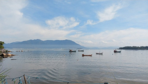 Onde comer ostras em Florianópolis: roteiro do Ribeirão da Ilha