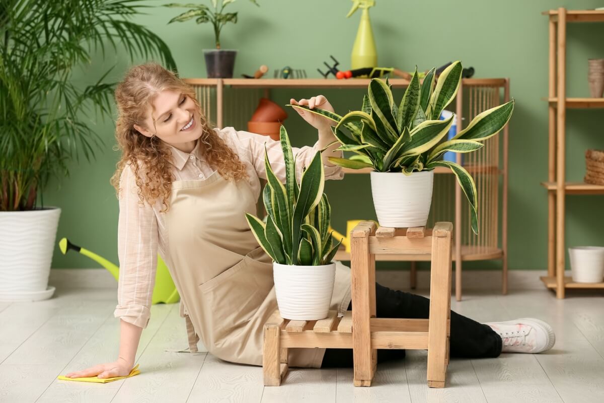 Com as plantas certas, o ambiente fica mais leve, acolhedor e cheio de boas vibrações 