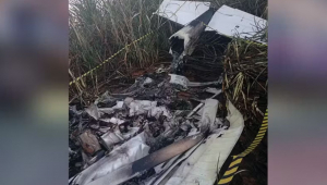 Avião monomotor cai no interior de São Paulo e piloto é encontrado carbonizado