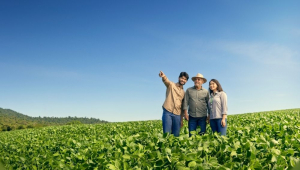 Sicredi libera R$ 52,8 bilhões em crédito rural no Plano Safra 25/26 e reforça atuação no agronegócio