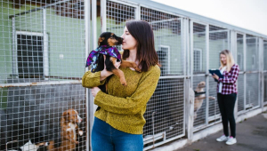 Oito em cada 10 pets adotados no Brasil vêm de resgates de rua ou redes informais