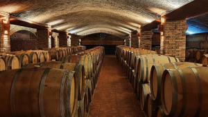 Roteiro pelas vinícolas de altitude em São Joaquim e Urubici