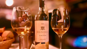 Altitude e frescor: a revolução dos vinhos brancos na Argentina