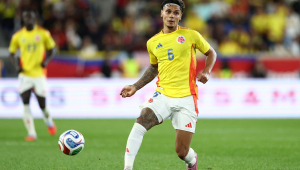 Com Arias, Carrascal e Richard Ríos, Colômbia anuncia convocação para Copa do Mundo