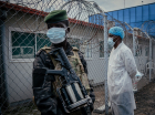 Surto Ebola