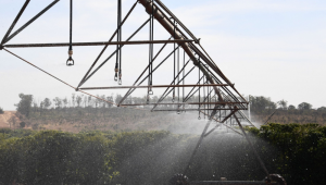 PIB brasileiro cresce 1,1% no primeiro trimestre de 2026, diz IBGE
