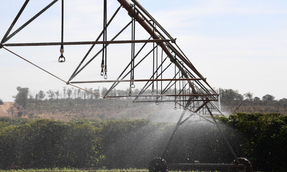 Plantas de café são irrigadas na fazenda experimental da Empresa Brasileira de Pesquisa Agropecuária (EMBRAPA), em Brasília