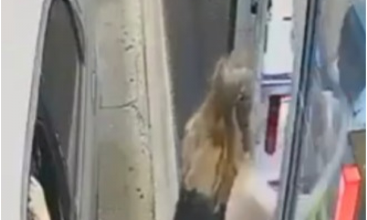Funcionária da ONU é afastada após agredir atendente do McDonald's em Brasília