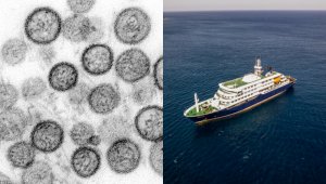 Hantavírus: o que é o vírus suspeito de matar ao menos três pessoas em cruzeiro