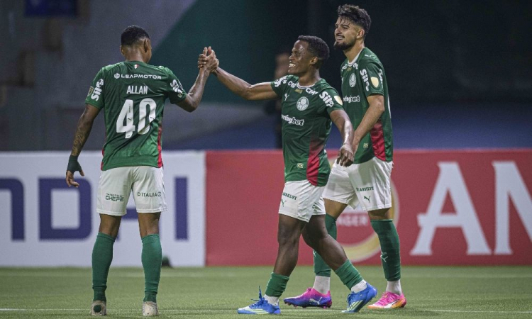 palmeiras nas oitavas da libertadores