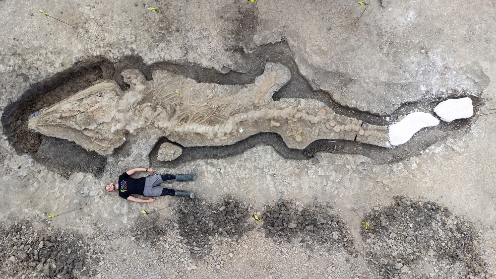 Um homem posa ao lado de restos escavados do maior ictiossauro da Grã-Bretanha, em Rutland Water, condado de Rutland, Grã-Bretanha